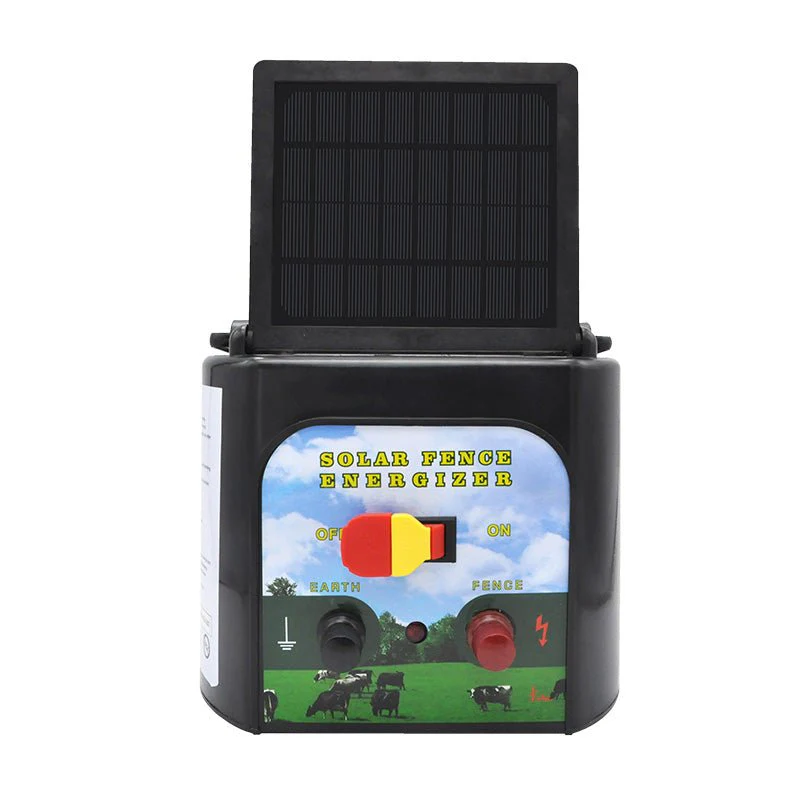 Thumbnail 19
